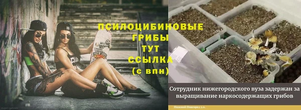 дживик Бугульма