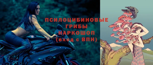 герыч Бородино