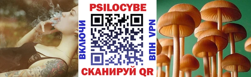 Галлюциногенные грибы Cubensis  Купить  Полярные Зори 